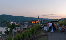 Dämmerung bei Wein im Wingert